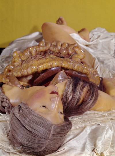 Model of a Disembowelled Woman by Clemente Susini
