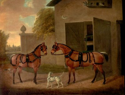 Carriages, Horses and Dogs by Clifton Tomson