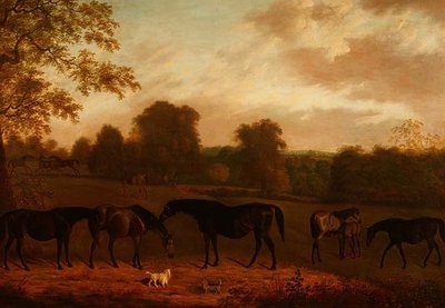 Mares and Foals by Clifton Tomson