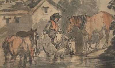Man Watering Four Horses by Conrad Gessner