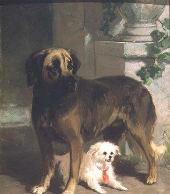 A Mastiff and a Bichon by Conradyn Cunaeus