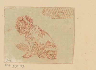 Sitting Dog by Cornelis Brouwer (possibly)