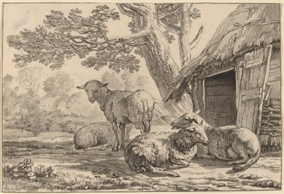 Sheepcote by Cornelis Brouwer