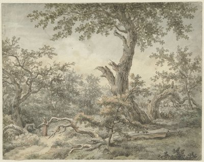 Forest Landscape by Cornelis Buys