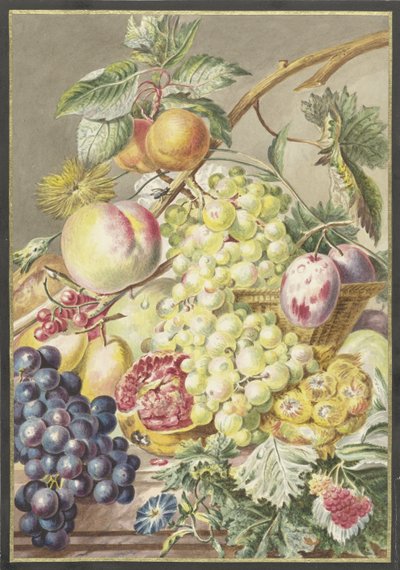 Fruit Piece by Cornelis Ploos van Amstel