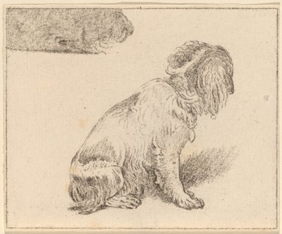 Seated Dog by Cornelis Ploos van Amstel