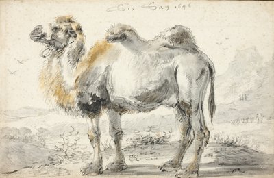 A camel by Cornelis Saftleven