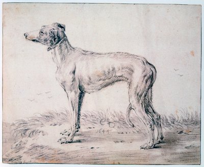 Greyhound by Cornelis Saftleven