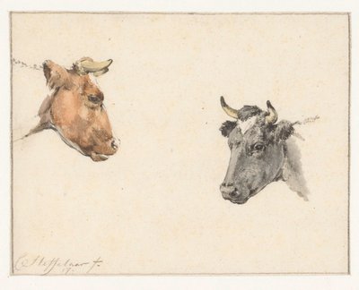 Study Sheet with Two Cow Heads by Cornelis Steffelaar