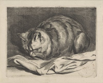 Little Cat by Cornelis Visscher (II)