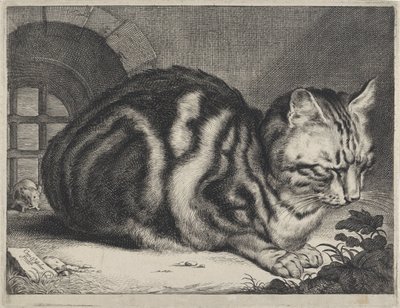 The Large Cat by Cornelis Visscher (II)