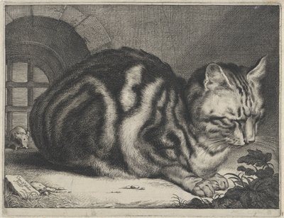 The Large Cat by Cornelis Visscher (II)