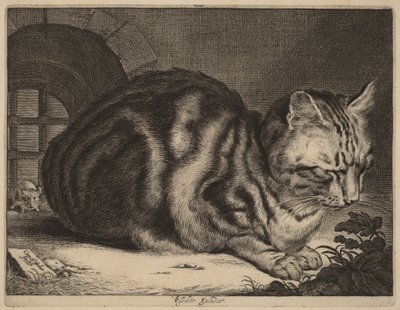 The Large Cat by Cornelis Visscher