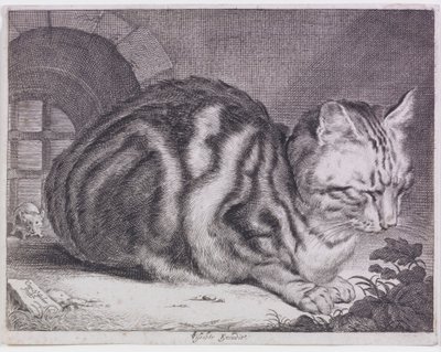 The Large Cat by Cornelis de Visscher