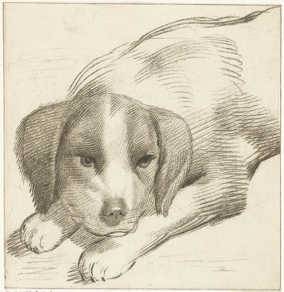 Lying Dog by Cornelis van Noorde