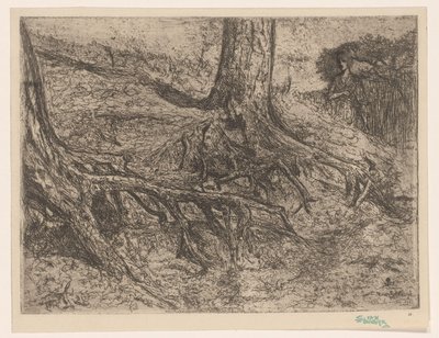 Tree Roots by Cornelis van Steenwijk