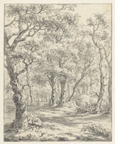 Forest Landscape by Couwenhoven