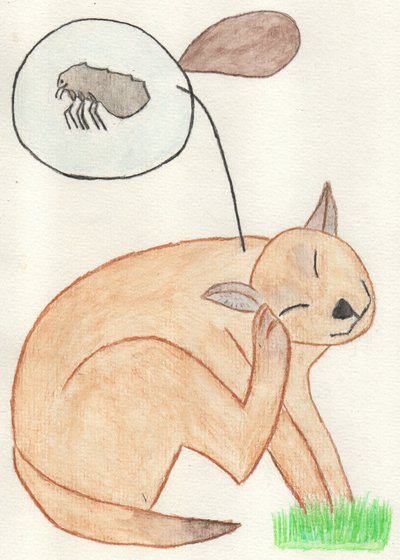 The Naughty Flea by Crazy Artist