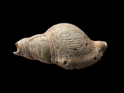 Carved Conch Shell by Culture Taino