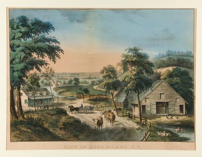 View on Long Island, N.Y. by Currier and Ives