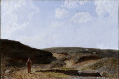 Plas Mawr by Cuthbert Cartwright Grundy