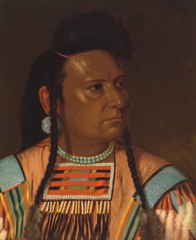 Chief Joseph by Cyrenius Hall