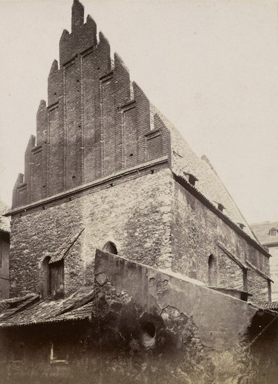 The Old New Synagogue by Czech Photographer Czech Photographer