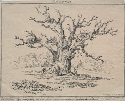 Fairlop Oak by D. H. Redman