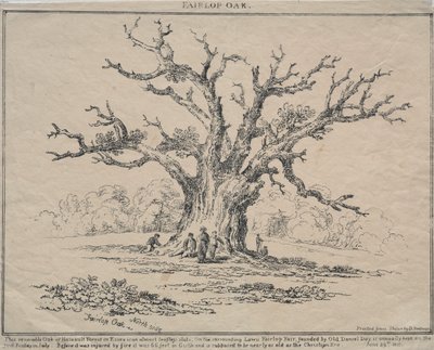 Fairlop Oak by D. H. Redman