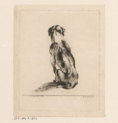Sitting Dog Seen from the Back by D. Merrem