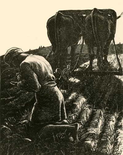 The Hidden Treasure, 1864, 1928 by Dalziel Brothers