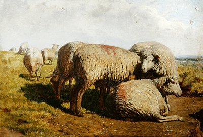 A Group of Sheep by Daniel Alexander Williamson
