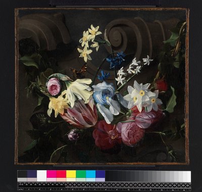 Festoon of Flowers by Daniel Seghers