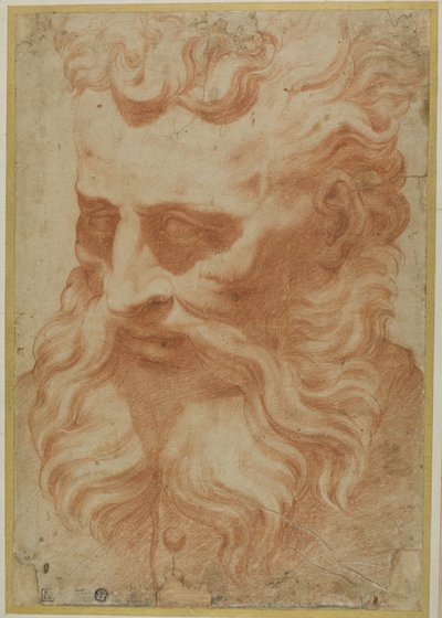 Head of God the Father by Daniele da Volterra