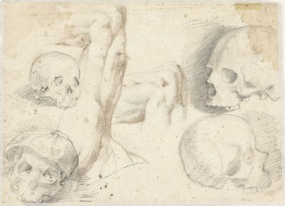 Four Studies of a Skull by Daniele da Volterra