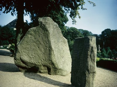 Viking rune stones by Danish School