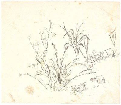 Grass by Dankvart Dreyer