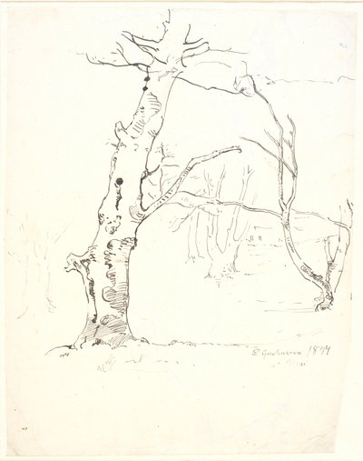 Tree Trunks by Dankvart Dreyer