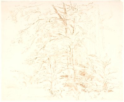 Tree Studies by Dankvart Dreyer