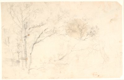 Tree Studies by Dankvart Dreyer