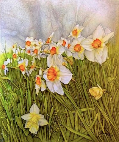 Dancing Daffodils, 2020 by Darrell Windjack