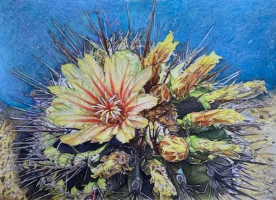Guarded Beauty by Darrell Windjack