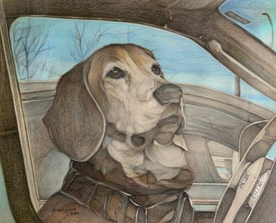 Patience, 2021 by Darrell Windjack
