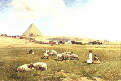 An Arab flock near Mena by David Bates