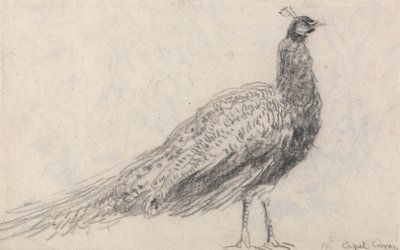 Peacock at Capel Curig by David Cox