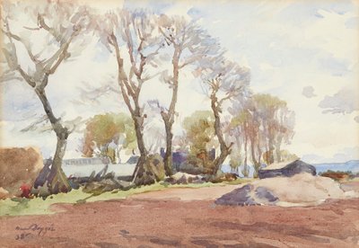 Winter Trees by David Foggie