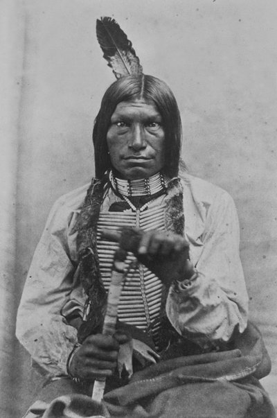 Low Dog War Chief by David Frances Barry
