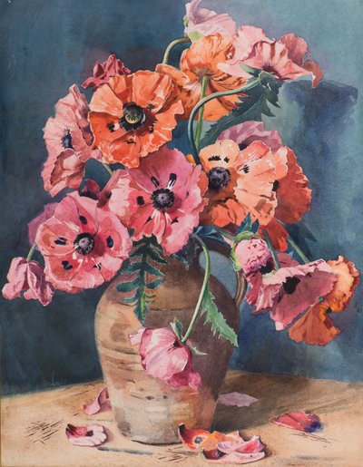 Poppies by David Goodfellow