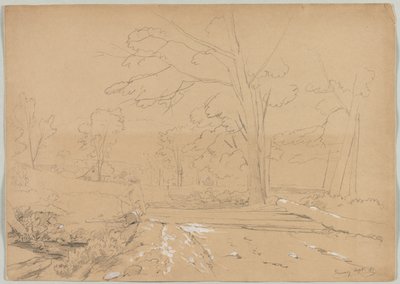 Landscape with Man Fishing, Conway, New Hampshire by David Johnson