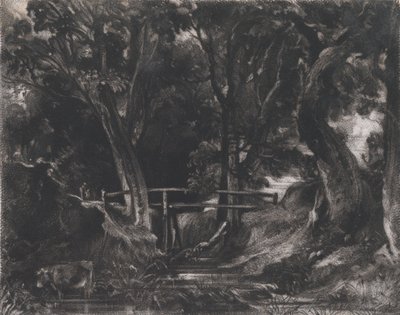 A Dell, Helmingham Park, Suffolk by David Lucas